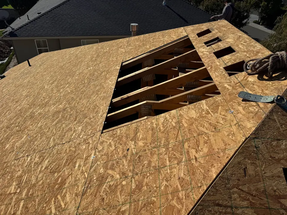 New OSB roof decking being installed over exposed rafters during a re-roof